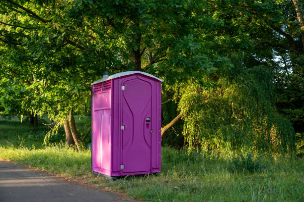 Best Local porta potty services  in Luna Pier, MI